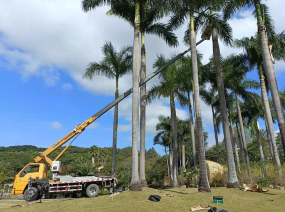 平涼吊裝與貨運服務 專業力量，高效運輸
